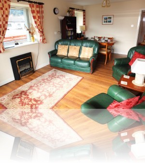 Lounge and dining area++