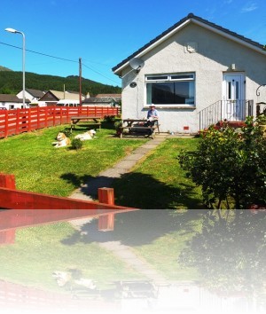 Enclosed garden - perfect for pets++