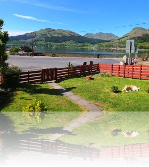 View from the garden++