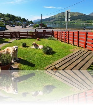 Right on the Cowal Way Long Distance Path++